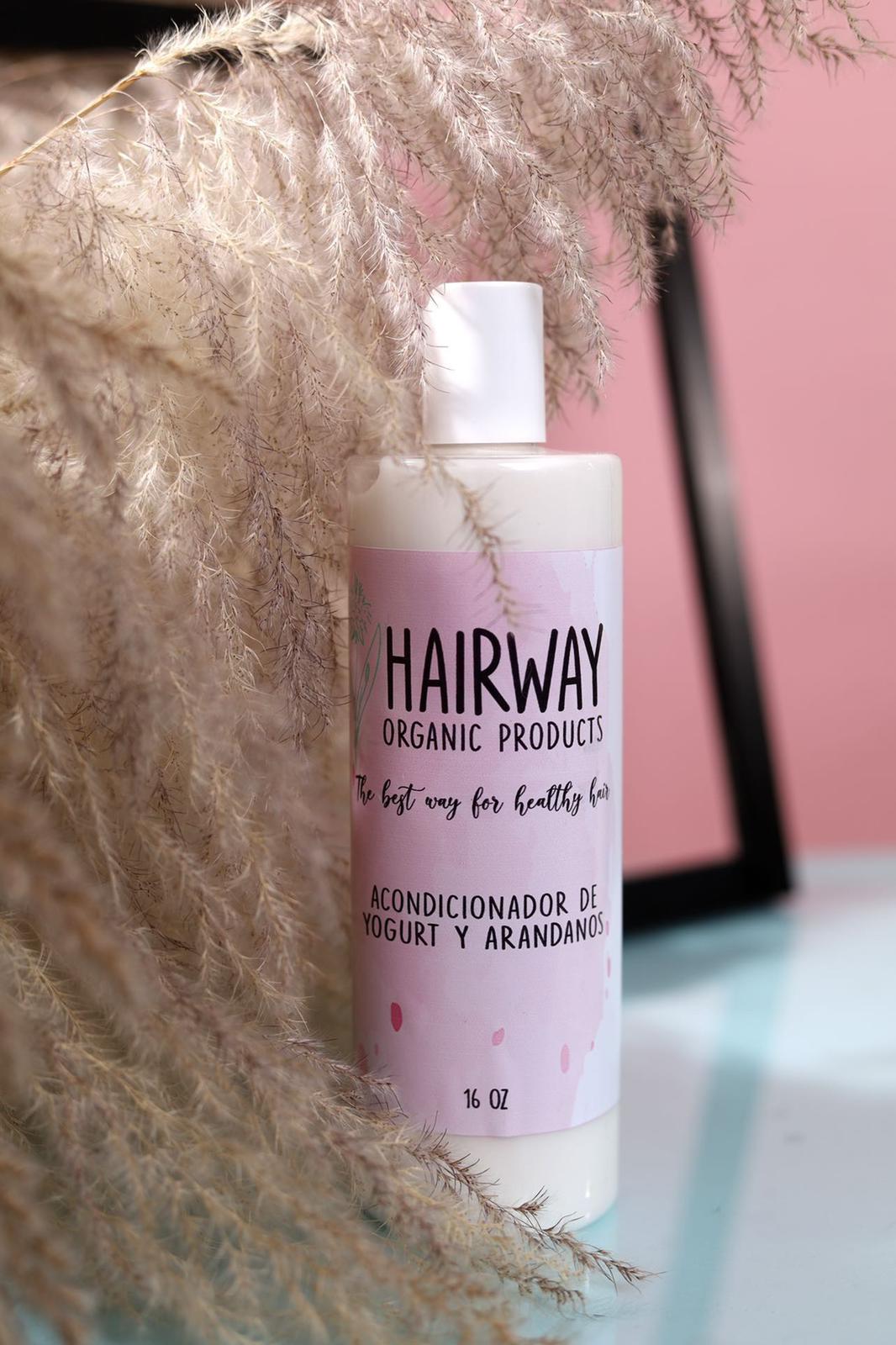 Yogurt and Blueberries Conditioner