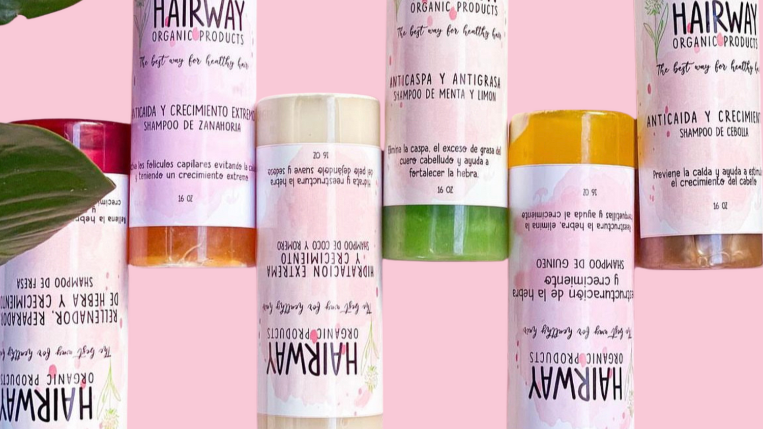 Shampoo